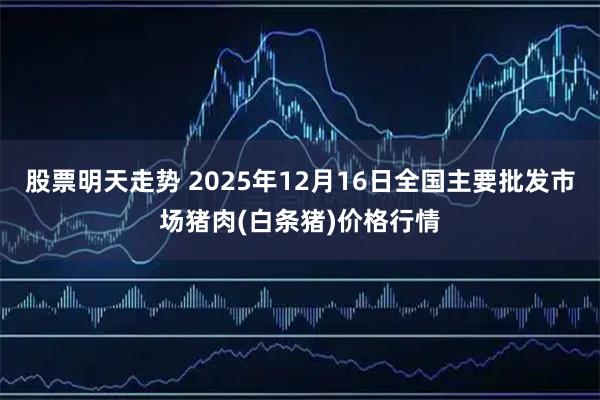 股票明天走势 2025年12月16日全国主要批发市场猪肉(白条猪)价格行情